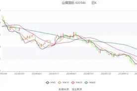 山煤国际：2024年上半年净利润12.91亿元 同比下降58.11%图片