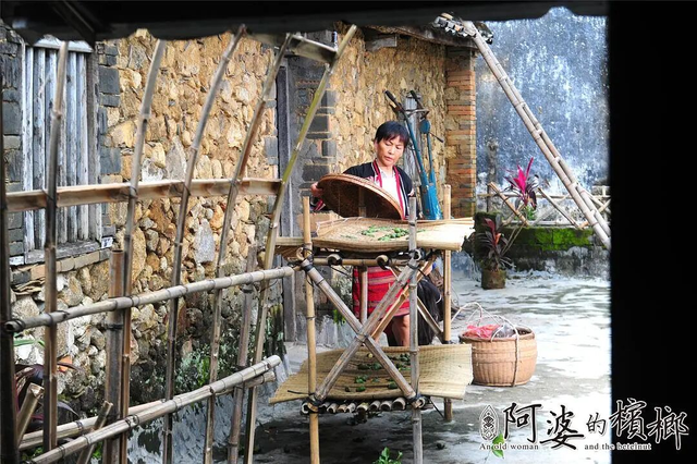 “人地互动”与槟榔文化｜新京报中文学术文摘