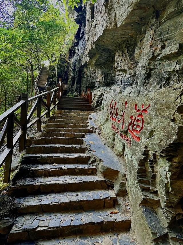 走进衢江 | 循气象之钥 解码冬日江南奇境与千年文脉