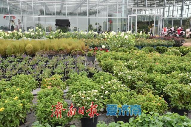 一年四季 泉在济南丨济南11家泉民园艺生态美学空间全景探秘