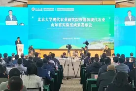十二个月关键词！带你回望一起走过的潍坊峡山2024图片