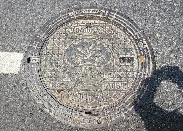 没有一朵花瓣能飘出洛阳