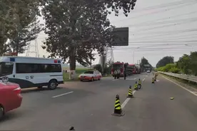 多的，是“祸”！| 夏季行动图片