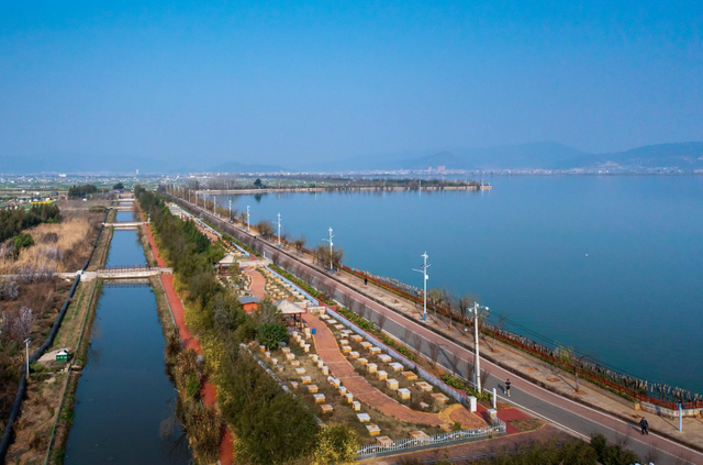 杞麓湖的初冬，藏着最温柔的治愈时光