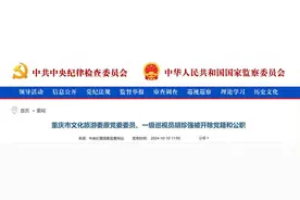胡珍强被“双开”：结交政治骗子，涉嫌行贿犯罪图片