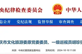 胡珍强被“双开”：结交政治骗子，涉嫌行贿犯罪图片