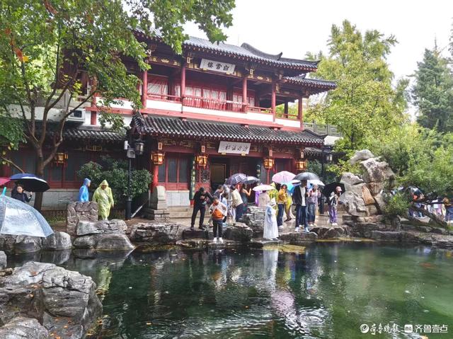 双节拍 | 雨中趵突泉，花伞簇泉人头攒动