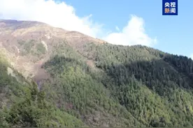 最新研究：气候变暖加速喜马拉雅山高山树线向高海拔扩张图片