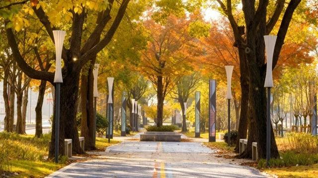 落叶、麦田、银杏……快来收藏这份秋日漫步地图