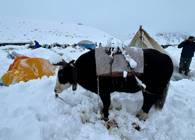 对话亲历者丨珠峰暴雪救援再进一步：嘎玛沟300多游客脱困，徒步者冲锋衣结冰，救援力量如何突破重重困难