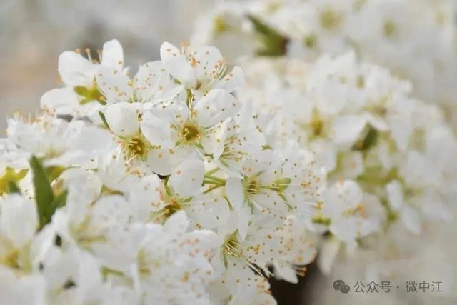 今天起，德阳将有一个新名字！