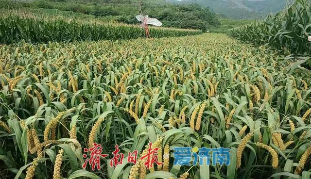 感受山水风光，品味独具特色的农产品与风味美食