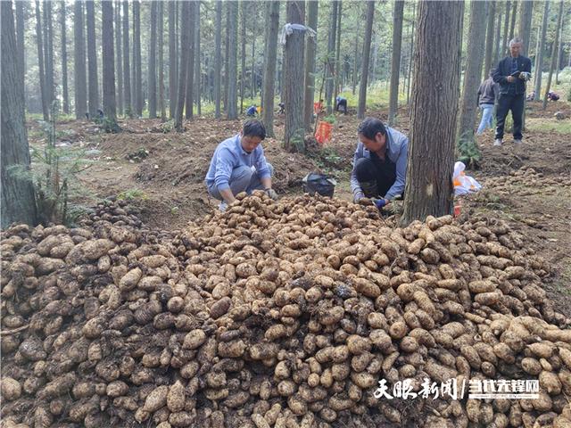 赫章：从“黑色冶炼”到“绿色发展”的涅槃之路