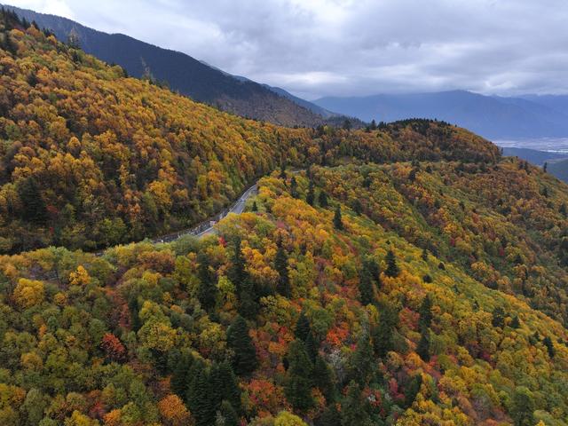 西藏林芝：色季拉山秋色浓
