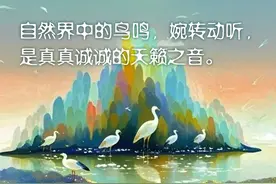 鸟鸣的解读图片