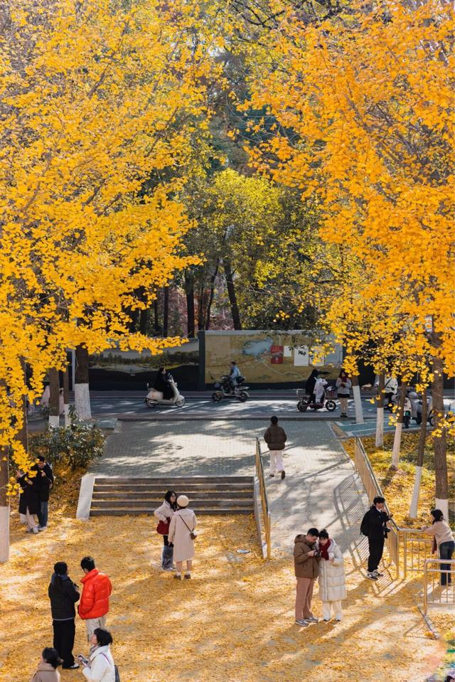 限时绝美！年度顶流！