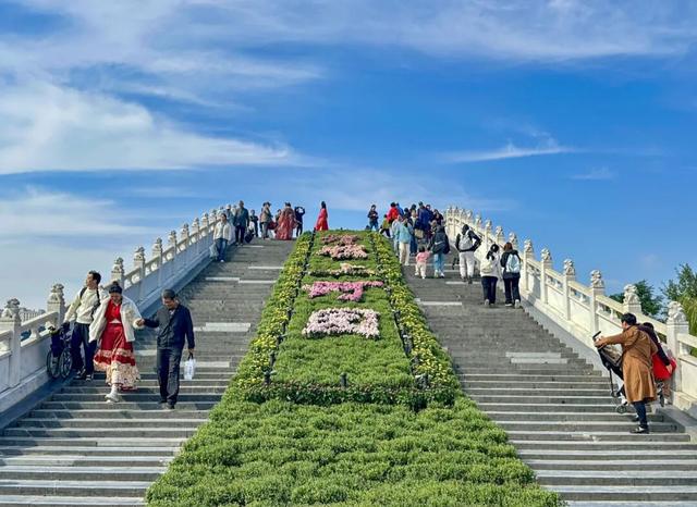 因为一朵花，爱上一座城！邀您共赴这场浪漫的金秋之约