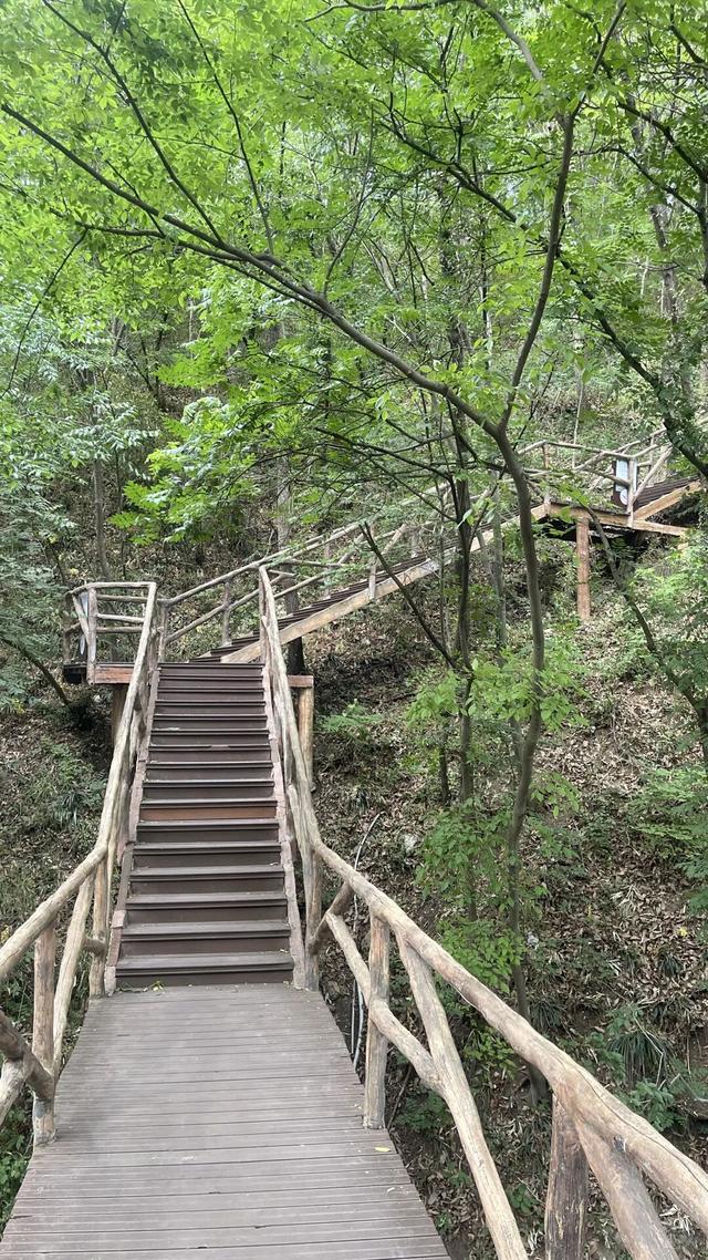 太野了！莫大意！