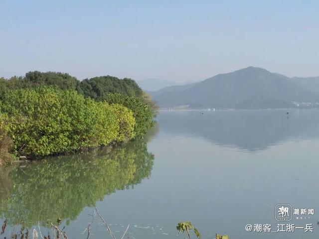 晚潮｜喜欢宁波