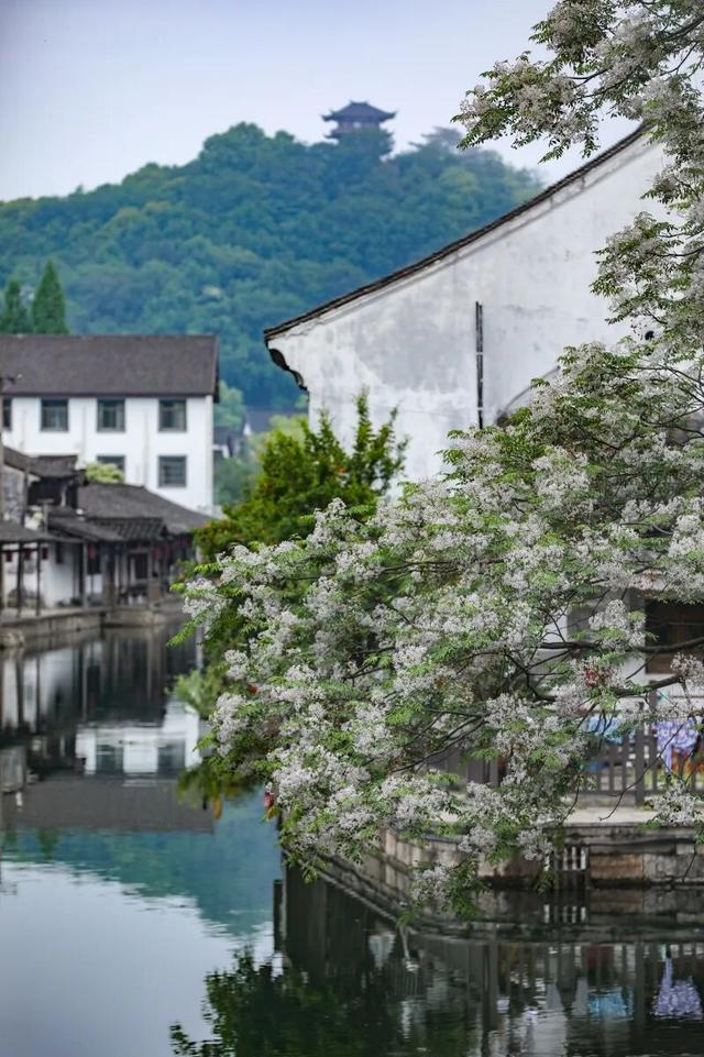 绍兴这个历史街区，大变样！