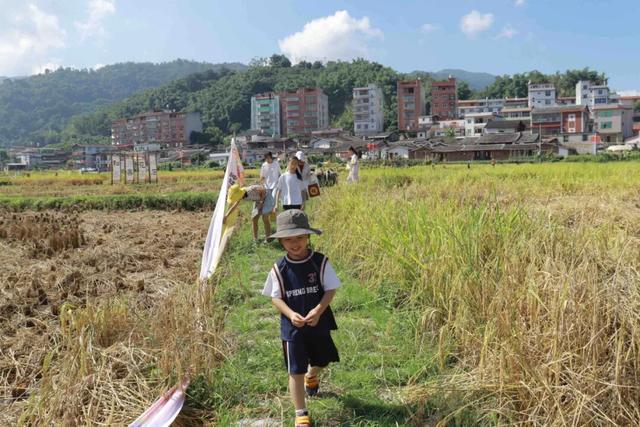 央媒持续聚焦，10余次全景呈现！这个假期，泉州全方位火爆“出圈”！