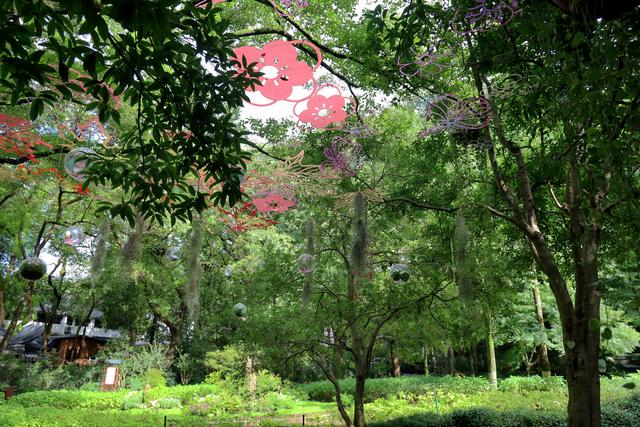 全国首创，杭州西湖飞来峰推出沉浸式疗愈游线