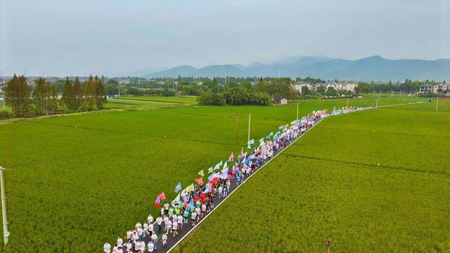 良渚文化+， 廊道式发展的“破圈”与“共生”