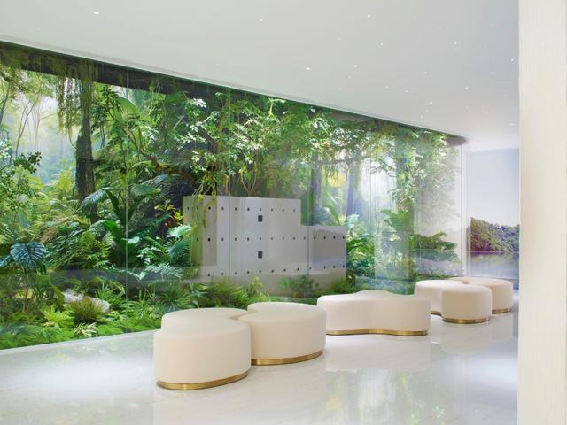 西安哪里买花胶 2026年西安哪里买花胶最好