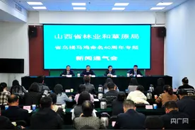 山西“省鸟”褐马鸡平均数量达19000只左右图片