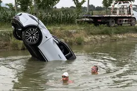 副驾驶座有只鸡，然后……轿车冲进了水塘图片