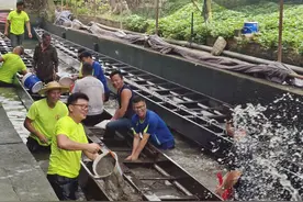 备战“龙舟月”！中山石岐各龙舟队相继“起龙”图片