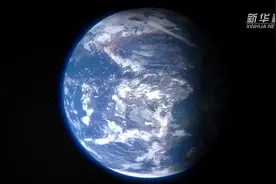 创意微视频｜定格！2024年的温暖瞬间图片