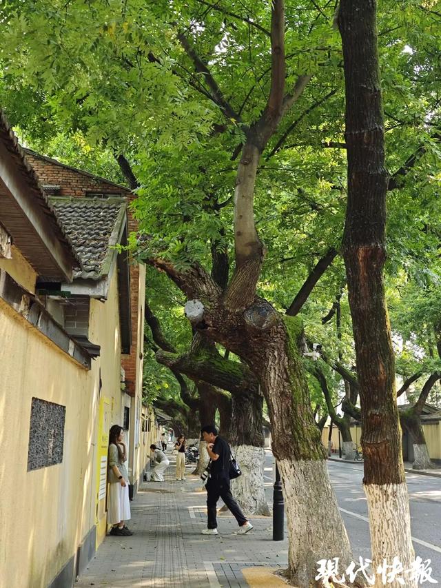 秋天一定要来一趟南京，奶皮子糖葫芦是序章，这些才是正文