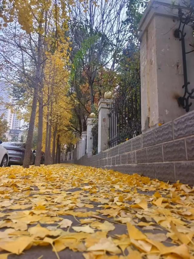 “缓扫”了，快点来大连拍照打卡吧！