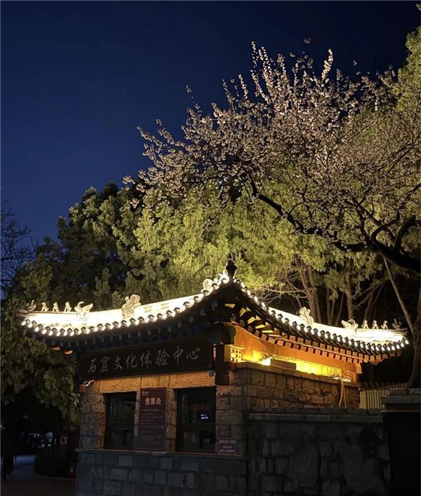 漫游历下 畅玩一夏丨千佛山“夏趣雅集”暑期总动员
