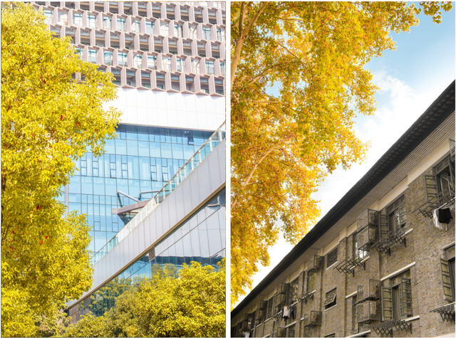 最好的秋天，在华师！