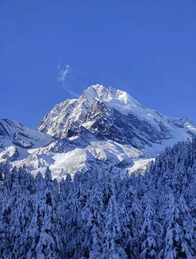 今年第一条雪景，送给海螺沟！