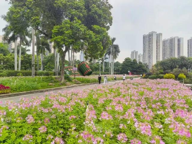 跟着节气来打卡 | 今日立冬，美好正当时！来南宁收藏一帧初冬的浪漫画卷