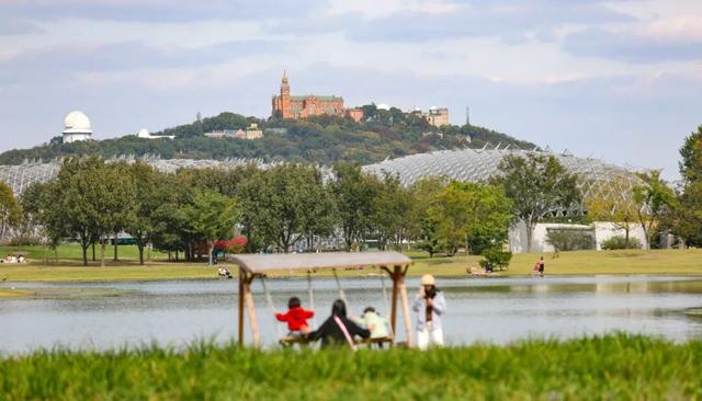 辰山植物园秋意正浓，快去欣赏这份限定秋日画卷