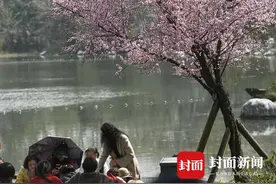 成都浣花溪公园桃花盛放惹人醉｜图集图片