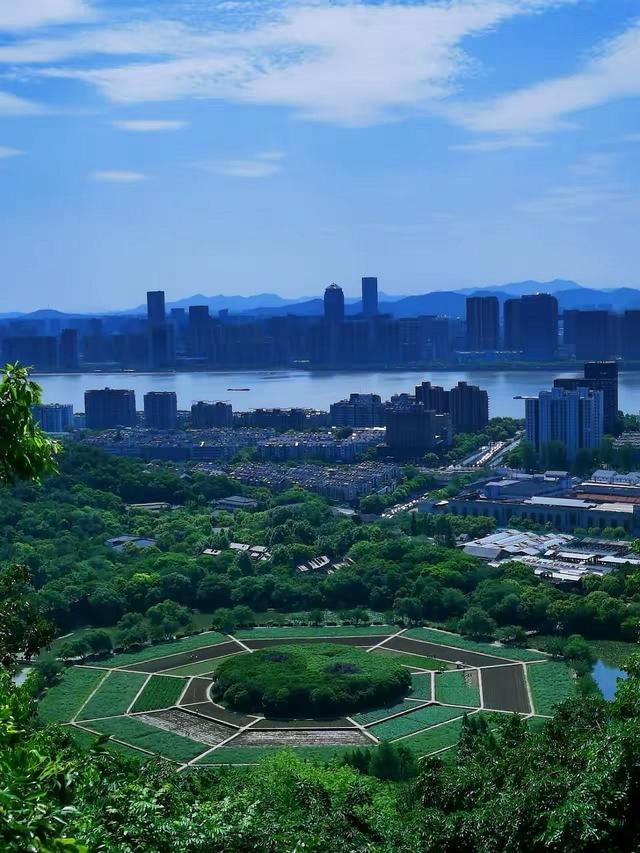 晚潮｜清风叶底度香醇
