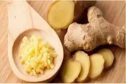 本草方中散辛香 药食真君惟大姜图片