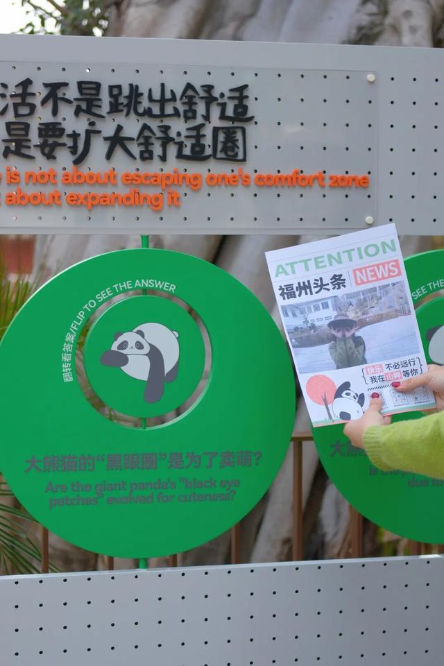 欢迎来到熊猫的家！保姆级攻略请收好！