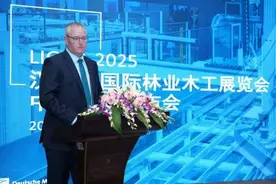 2025汉诺威国际林业木工展览会明年5月举办  76家中企“先拔头筹”图片