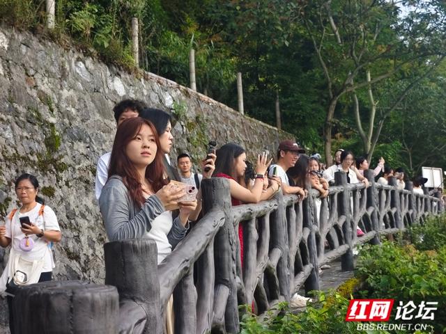 【每日一图@湖南】未醒的天，轻纱般的雾，温柔了整条资兴小东江
