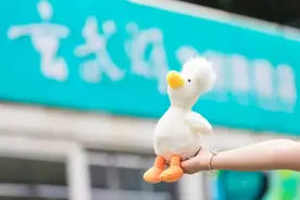 游客没地方住，文旅局长邀请住进自己家图片