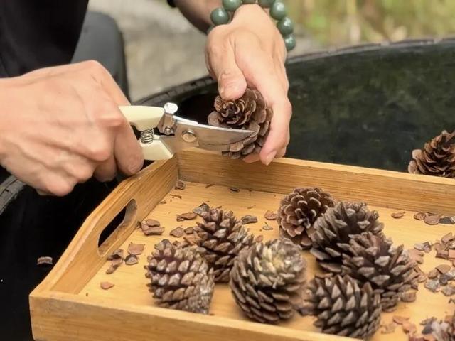 3天2晚「群山之心探秘」，超值亲子游体验共创回忆