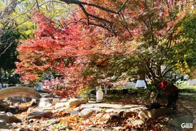 明后两天，青岛阳光相伴！最高气温将小幅回升图片