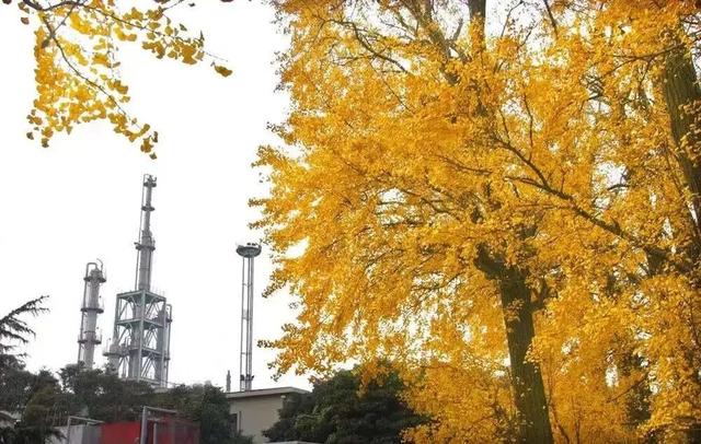 宝山隐藏打卡清单！“旅”选上海，“超”级精彩！这里出片率100%！