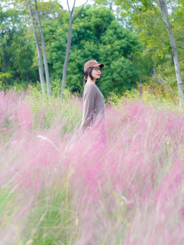 粉黛、菊展、芦苇正盛，东湖最美秋光上线！